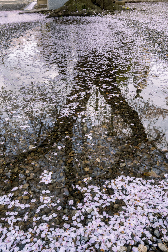 雨上がり