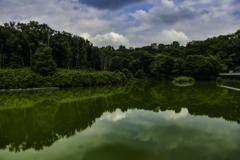 森林公園にて