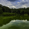 森林公園にて