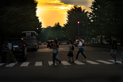 横断歩道