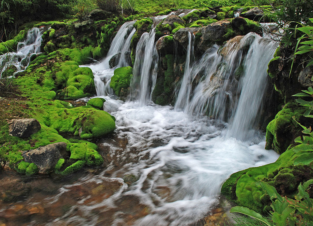 緑の滝