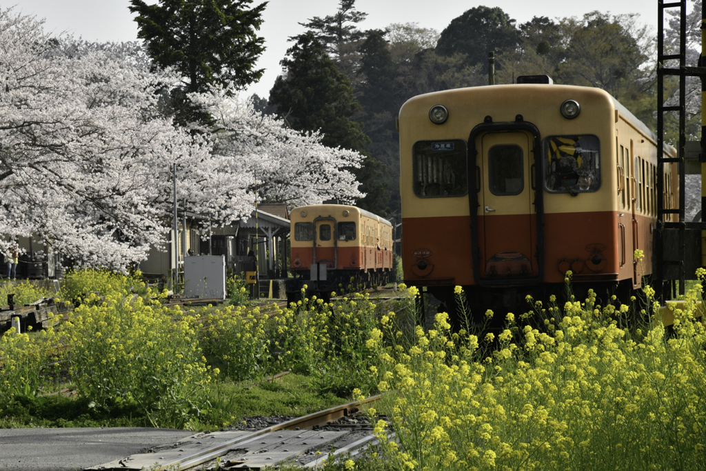 ゆる鉄「さとみ駅」