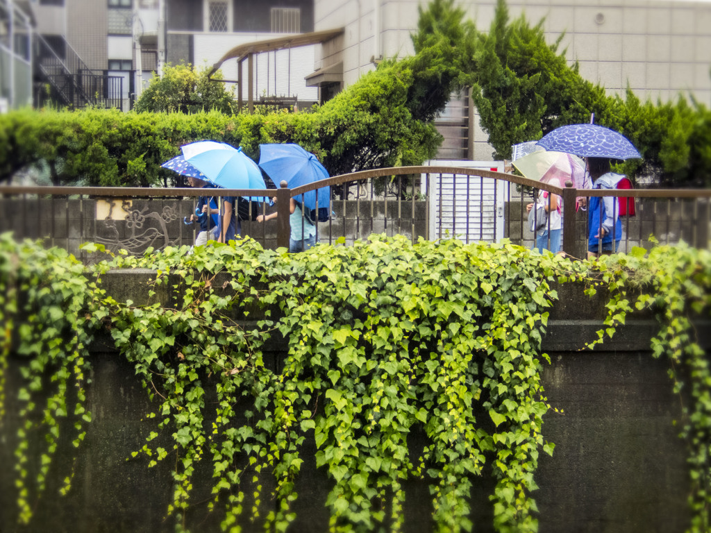 雨の日