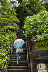 雨の日