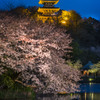 ライトアップ「三渓園」