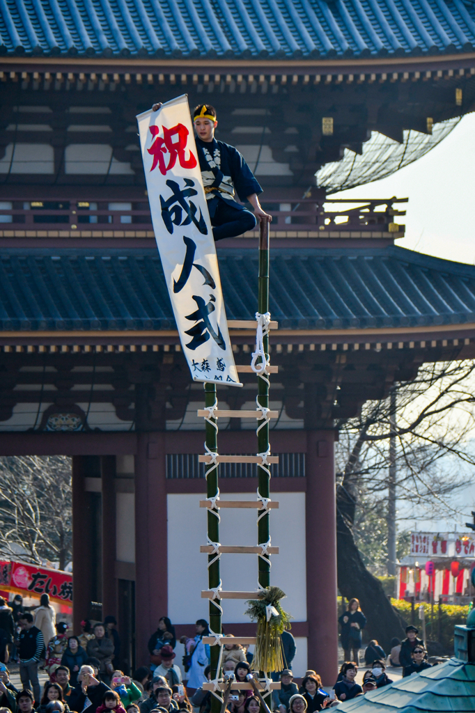 成人の日「はしご乗り」 (2)