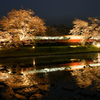 飯給の夜桜