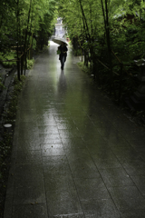 雨の参道