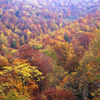 秋景「坤六峠」