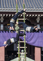 成人の日「はしご乗り」