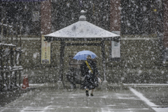 雪の本門寺 (1)