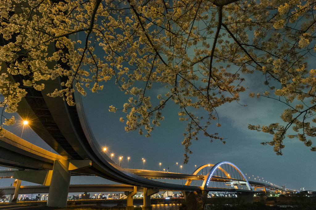 五色桜大橋