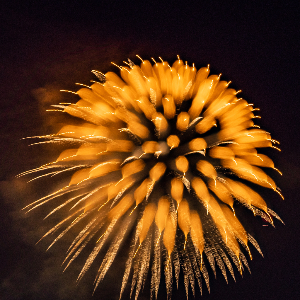 夜空に咲く