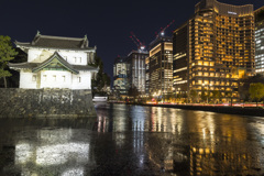 夜の桔梗豪
