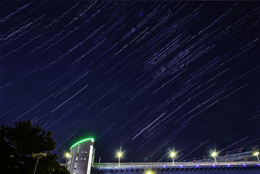 華やかな冬空