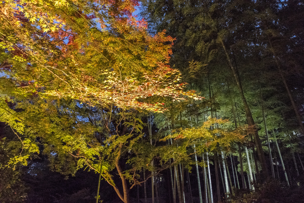 六義園