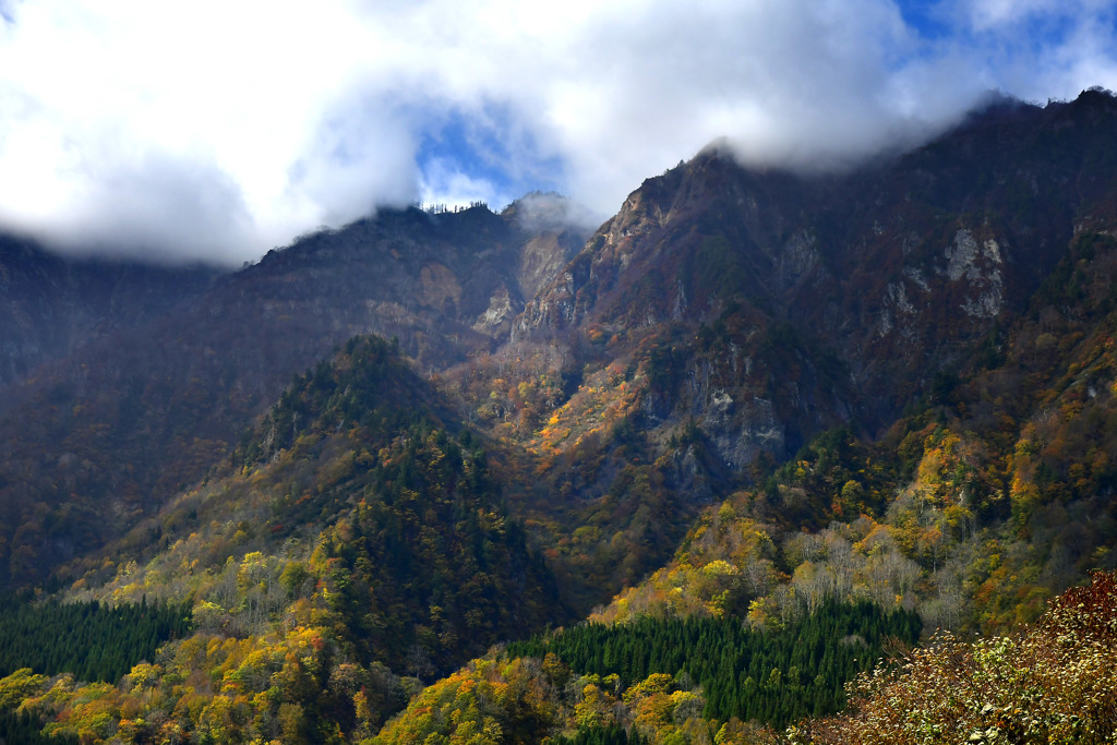 山腹の秋