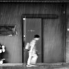 雨