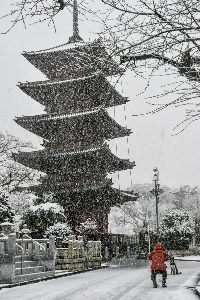 雪の本門寺 (2)