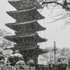 雪の本門寺 (2)