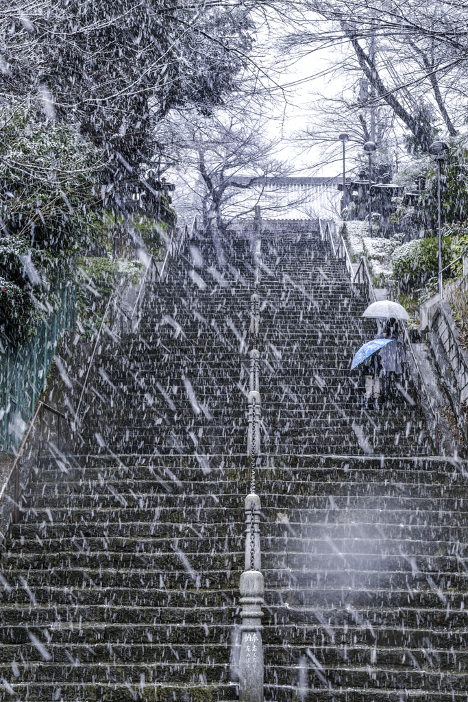 雪の本門寺 (4)