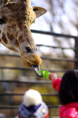 宇都宮動物園10