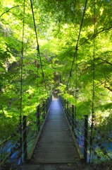 吊り橋