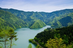 新緑の中の湖