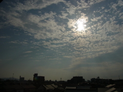 日食時の空