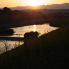 夕日