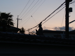人ではありませんよ