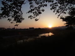 夕日２