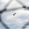 20120716-IMGP8665