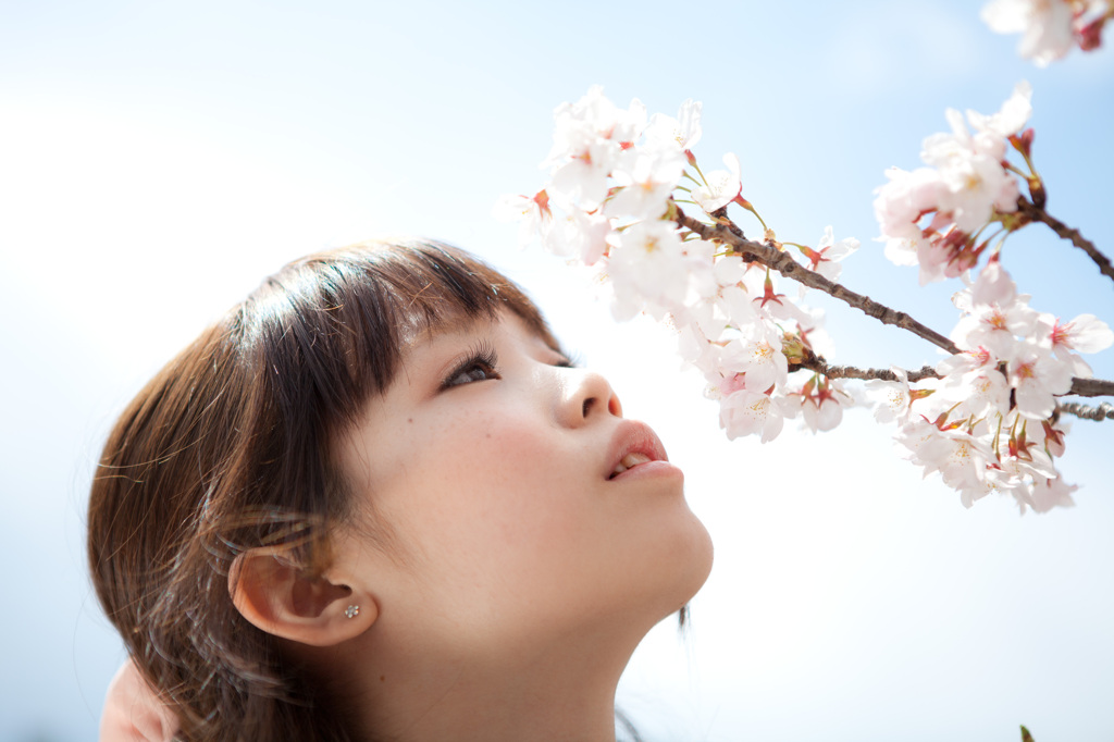 桜の香り