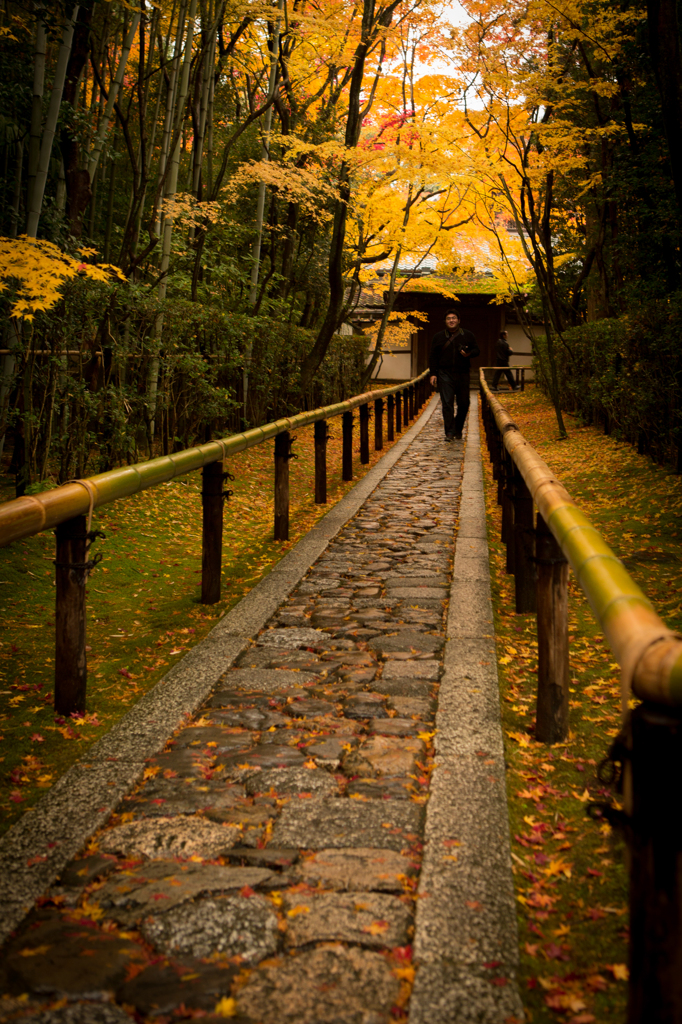 高桐院