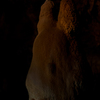 石垣島鍾乳洞　トトロ石