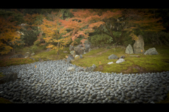 宝厳寺の庭