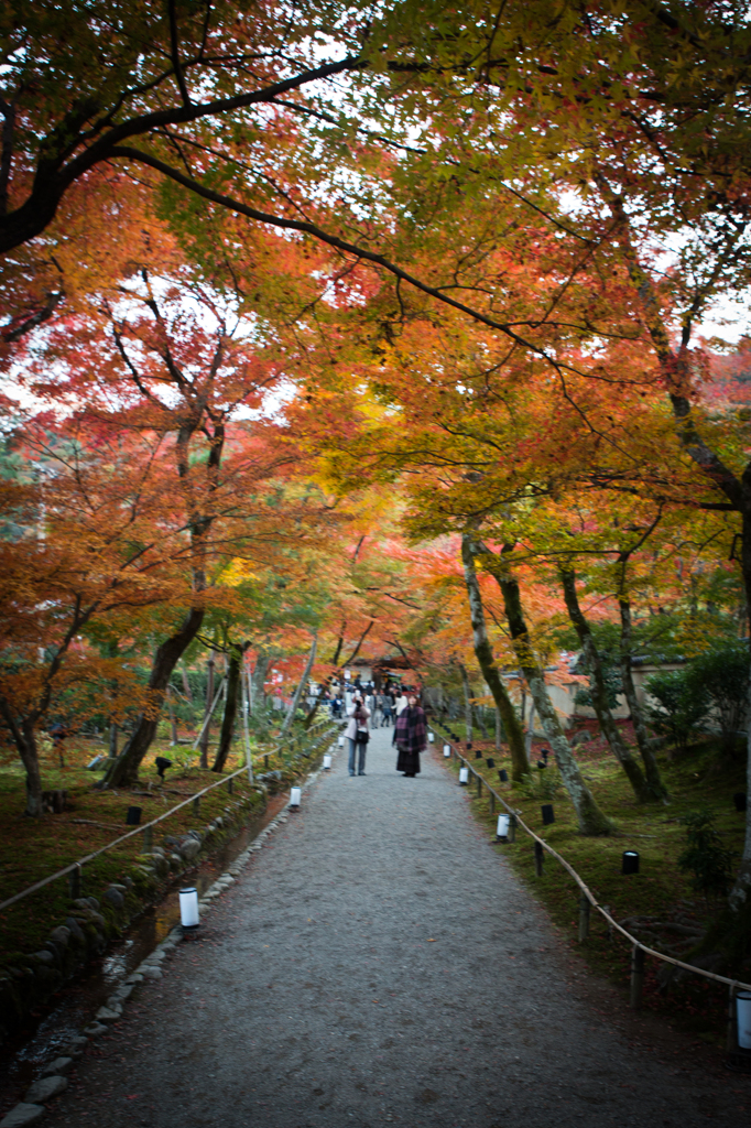 紅葉のトンネル