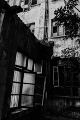 P1246289