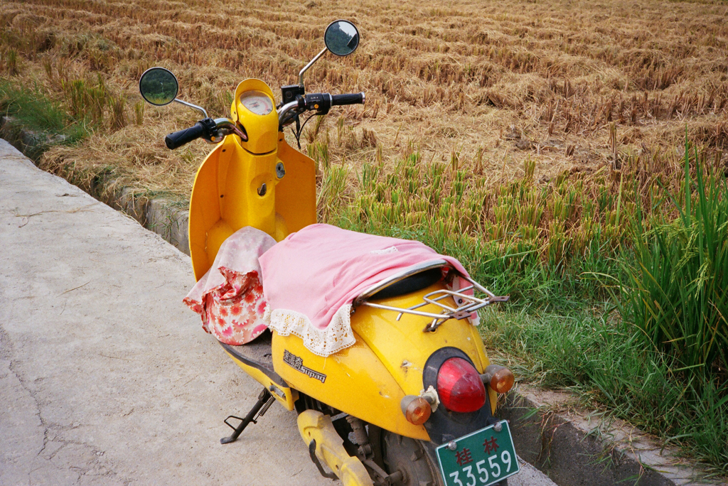 22490006