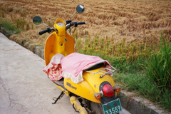 22490006
