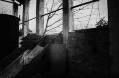 P1246311
