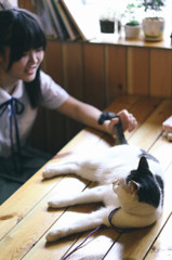 尾巴