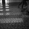 DSC02799