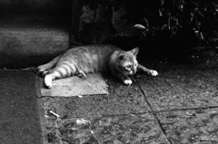 P6140026