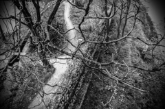 P1176265