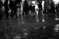 DSC03681