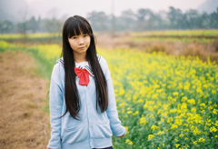 春萌