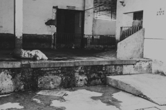 P8230020