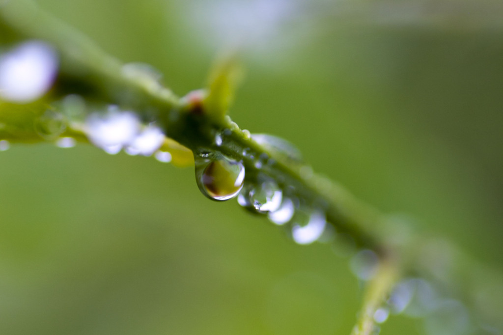 Rainbow drop